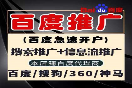 竞价广告与自然搜索的结合策略：XX网站的案例分析